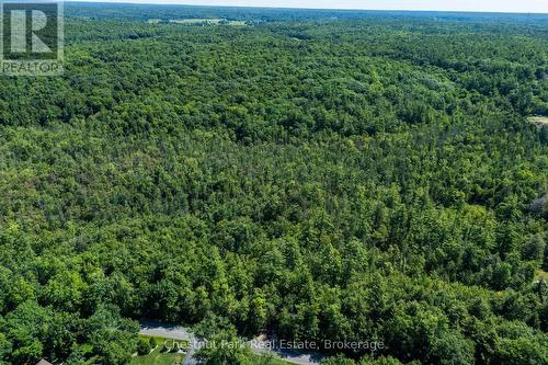 Trails for ATVs and hiking all possible - 1461 Golden Beach Road, Bracebridge (Monck (Bracebridge)), ON 