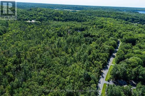 This area is a nice community to live in - 1461 Golden Beach Road, Bracebridge (Monck (Bracebridge)), ON 