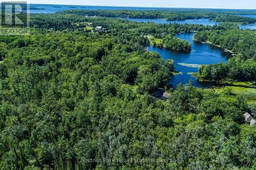 Cant see your neighbours beside you - 1461 Golden Beach Road, Bracebridge (Monck (Bracebridge)), ON 