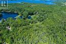 Municipally maintained road - 1461 Golden Beach Road, Bracebridge (Monck (Bracebridge)), ON 