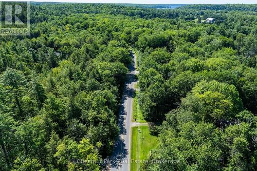 Beginning of driveway is in for you - 1461 Golden Beach Road, Bracebridge (Monck (Bracebridge)), ON 