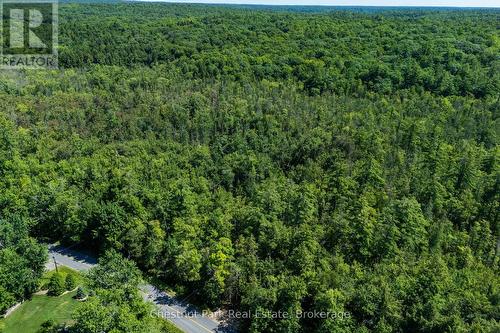 A nice road to walk your pets - 1461 Golden Beach Road, Bracebridge (Monck (Bracebridge)), ON 