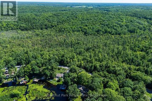 Possible to add your trails - 1461 Golden Beach Road, Bracebridge (Monck (Bracebridge)), ON 