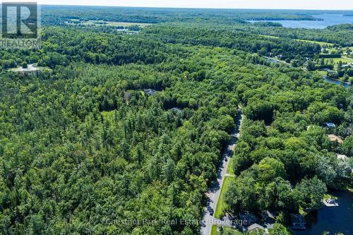 Heavily forested on this road - 1461 Golden Beach Road, Bracebridge (Monck (Bracebridge)), ON 
