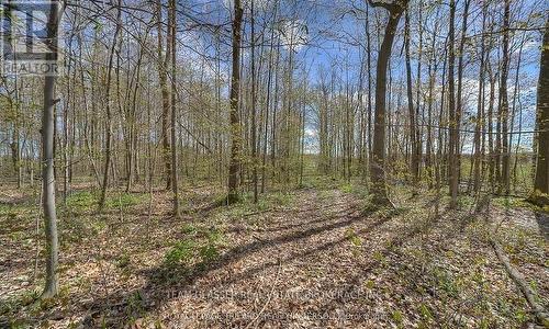 315529 31St Line, Zorra, ON 