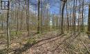 315529 31St Line, Zorra, ON 
