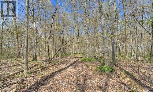 315529 31St Line, Zorra, ON 