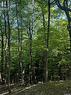 Tallon Land, Moose Range Rm No. 486, SK 