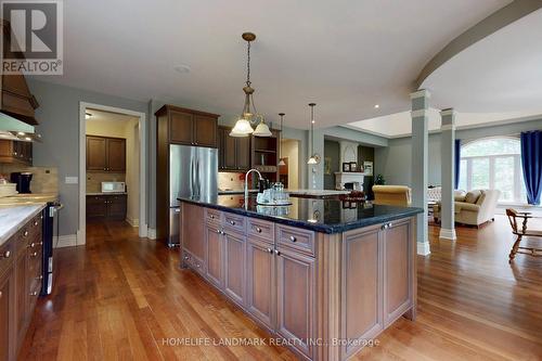 19 Wolf Run Court, Whitchurch-Stouffville, ON - Indoor Photo Showing Kitchen With Upgraded Kitchen