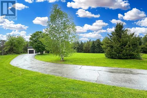 19 Wolf Run Court, Whitchurch-Stouffville, ON - Outdoor With View