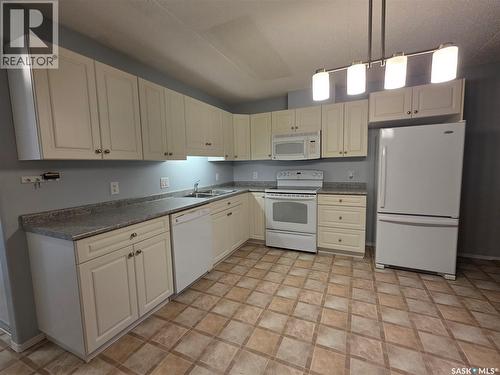 205 701 Henry Street, Estevan, SK - Indoor Photo Showing Kitchen With Double Sink