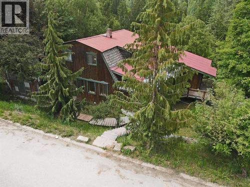 2022 Creek Street, Nelson, BC - Outdoor