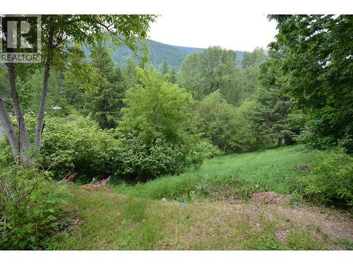 2022 Creek Street, Nelson, BC - Outdoor