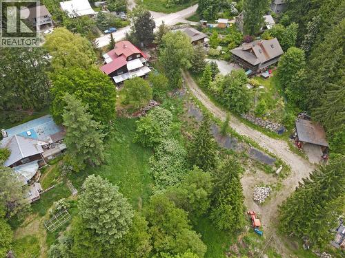 2022 Creek Street, Nelson, BC - Outdoor With View