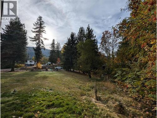 802 Gore Street W, Nelson, BC 