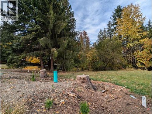 802 Gore Street W, Nelson, BC 