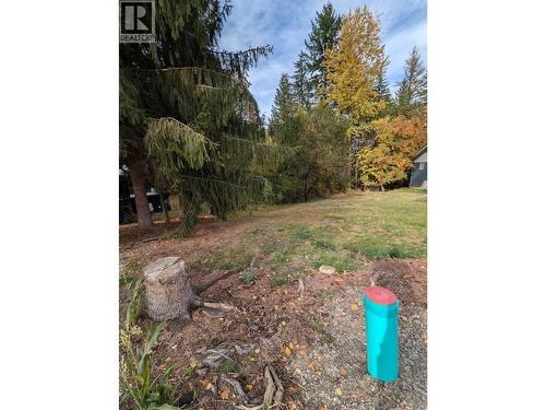 802 Gore Street W, Nelson, BC 
