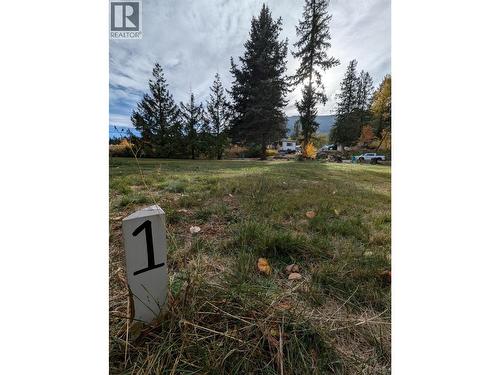 802 Gore Street W, Nelson, BC 