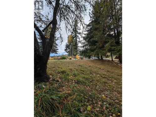 802 Gore Street W, Nelson, BC 