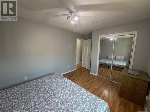 13 Yonge Street S, Springwater, ON 