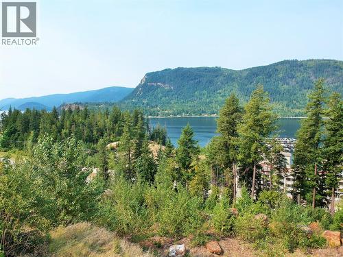 246 Stoneridge Drive, Sicamous, BC 