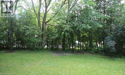 Expansive lawn area with a backdrop of mature trees and varied foliage - 