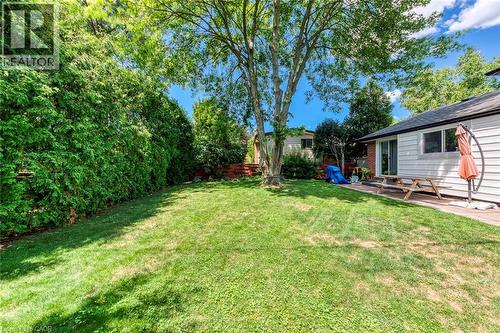 Expansive backyard featuring a lush lawn, mature trees, and a privacy hedge - 356 Dunlop Crescent, Burlington, ON - Outdoor
