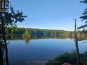 17 Fire Route 92A, Havelock-Belmont-Methuen (Belmont-Methuen), ON  - Outdoor With Body Of Water With View 