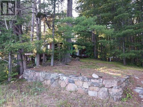 17 Fire Route 92A, Havelock-Belmont-Methuen (Belmont-Methuen), ON - Outdoor