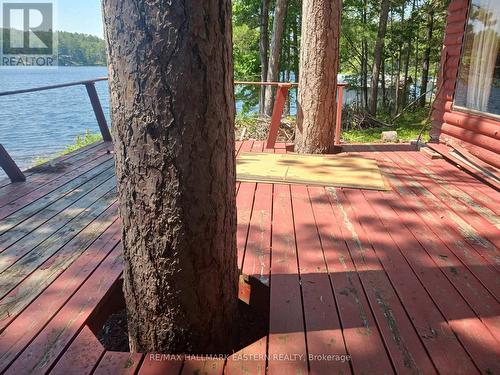 17 Fire Route 92A, Havelock-Belmont-Methuen (Belmont-Methuen), ON - Outdoor With Body Of Water