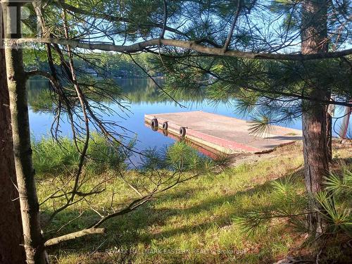 17 Fire Route 92A, Havelock-Belmont-Methuen (Belmont-Methuen), ON - Outdoor With Body Of Water With View