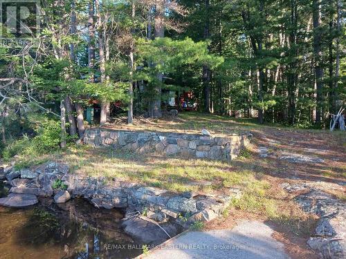 17 Fire Route 92A, Havelock-Belmont-Methuen (Belmont-Methuen), ON - Outdoor With View