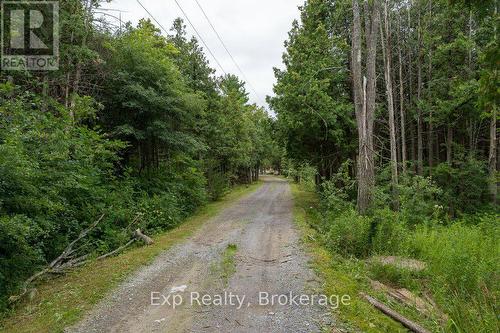 2822 Shannon Road, Tyendinaga (Tyendinaga Township), ON - Outdoor