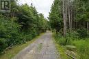 2822 Shannon Road, Tyendinaga (Tyendinaga Township), ON  - Outdoor 
