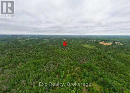 2822 Shannon Road, Tyendinaga (Tyendinaga Township), ON - Outdoor With View