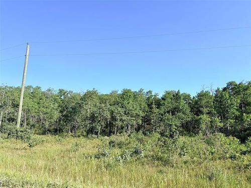 0 Ukrainian Park Rd, Gimli, MB 