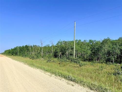 0 Ukrainian Park Rd, Gimli, MB 