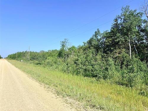 0 Ukrainian Park Rd, Gimli, MB 