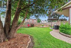 Landscaped Backyard - 