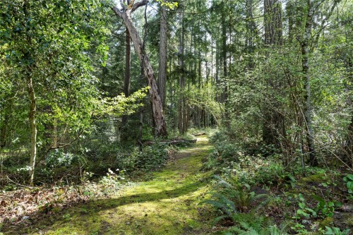 7817 Superior Rd, Lantzville, BC 