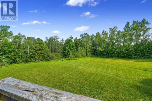 11758 County 29 Road, Alnwick/Haldimand, ON - Outdoor
