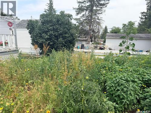 225 Dominion Road, Assiniboia, SK - Outdoor