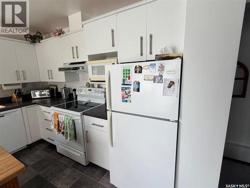 225 Dominion Road, Assiniboia, SK - Indoor Photo Showing Kitchen