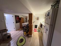 lower level - 
