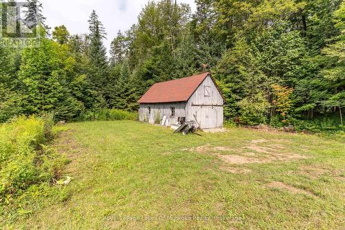 1099 Wolfkin Lake Road, Lake Of Bays (Ridout), ON - Outdoor