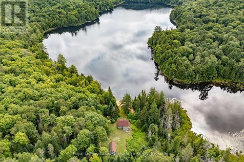 1099 Wolfkin Lake Road, Lake Of Bays (Ridout), ON - Outdoor With Body Of Water With View