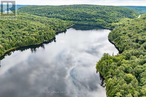 1099 Wolfkin Lake Road, Lake Of Bays (Ridout), ON - Outdoor With Body Of Water With View