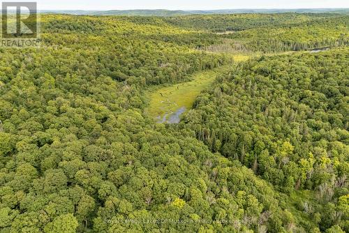 1099 Wolfkin Lake Road, Lake Of Bays (Ridout), ON - Outdoor With View