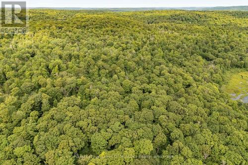 1099 Wolfkin Lake Road, Lake Of Bays (Ridout), ON - Outdoor With View