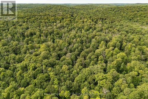 1099 Wolfkin Lake Road, Lake Of Bays (Ridout), ON - Outdoor With View